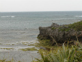 粟国島の絶壁